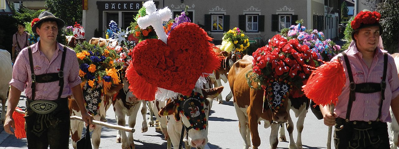 Il bestiame adornato torna in settembre dalla malga Obingalm., © Kramerhof Gasteig