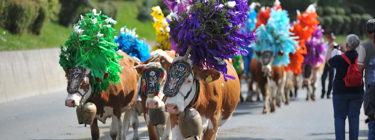 La festa della transumanza a Hopfgarten e Kelchsau nella valle Brixental, © Hannes Dabernig/TVB Kitzbüheler Alpen - Brixental