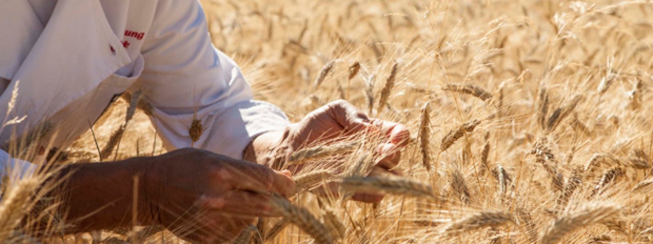 Itinerario del gusto tirolese: il pane Tiroggl, © Daniel Zangerl