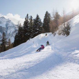 La pista naturale per slittini Elfer-Pinnistal nella Stubaital , © Tirol Werbung/Bert Heinzlmeier