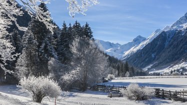 Escursione invernale nella Gschnitztal, © Joakim Strickner