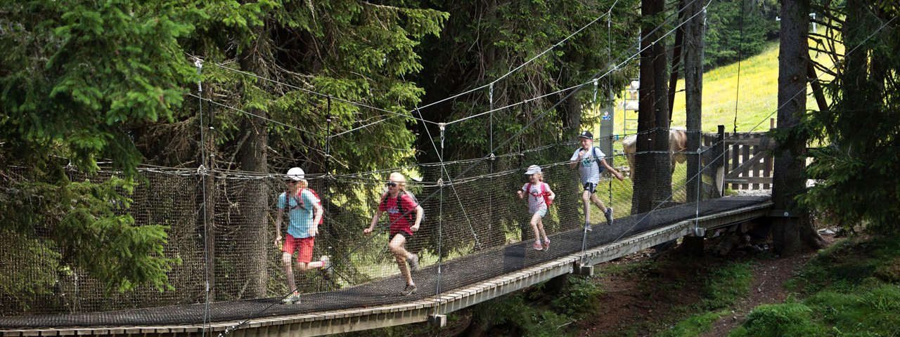 Accesso alle case sugli alberi, © Tirol Werbung/Frank Bauer