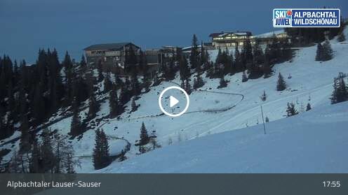 Wabcam Alpbachtaler Lauser-Sauser