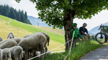 Bike Trail Tirol tappa 14: Westendorf - Alpbach, © Tirol Werbung / Neusser Peter