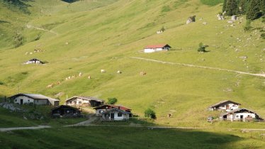 La malga Feldalm a Walchsee, © Irene Prugger