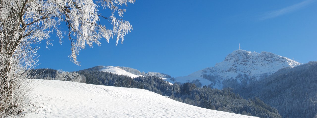 Escursione invernale sul Gruttenweg, © Albin Niederstrasser