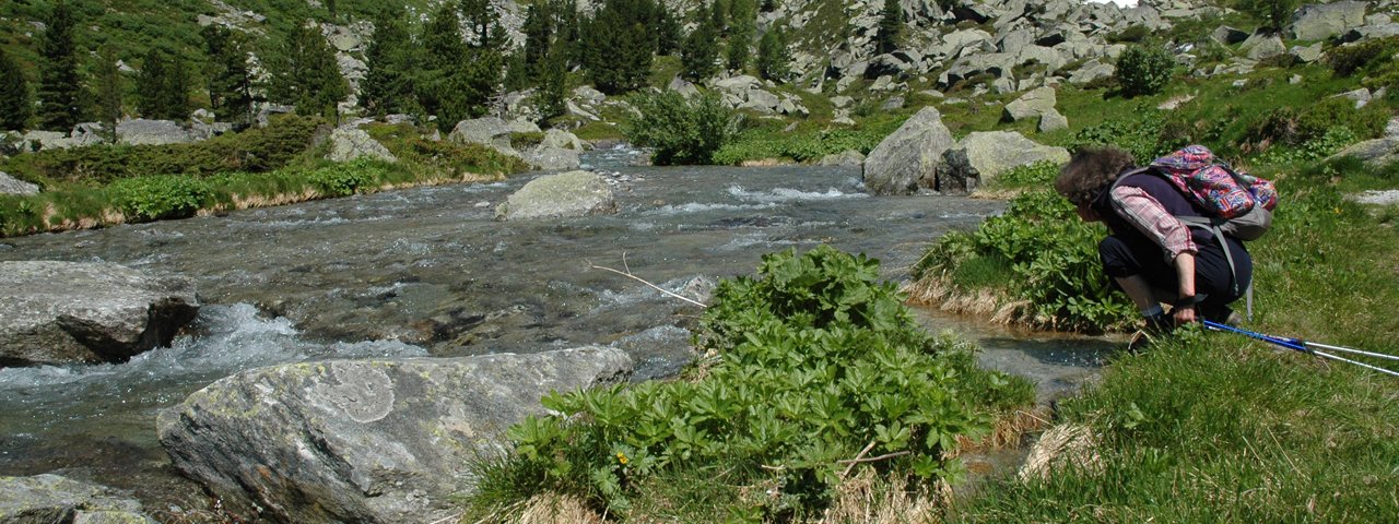 Sentiero dell'aquila Osttirol Tappa 8: Dorfertal, © Isep Kurg