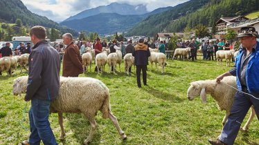 La festa dei pastori a Sölden nella valle Ötztal, © Anton Klocker