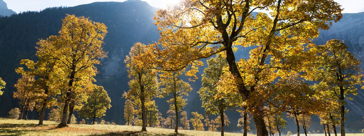 Aceraia nell'Eng, © Tirol Werbung/W9 Studios