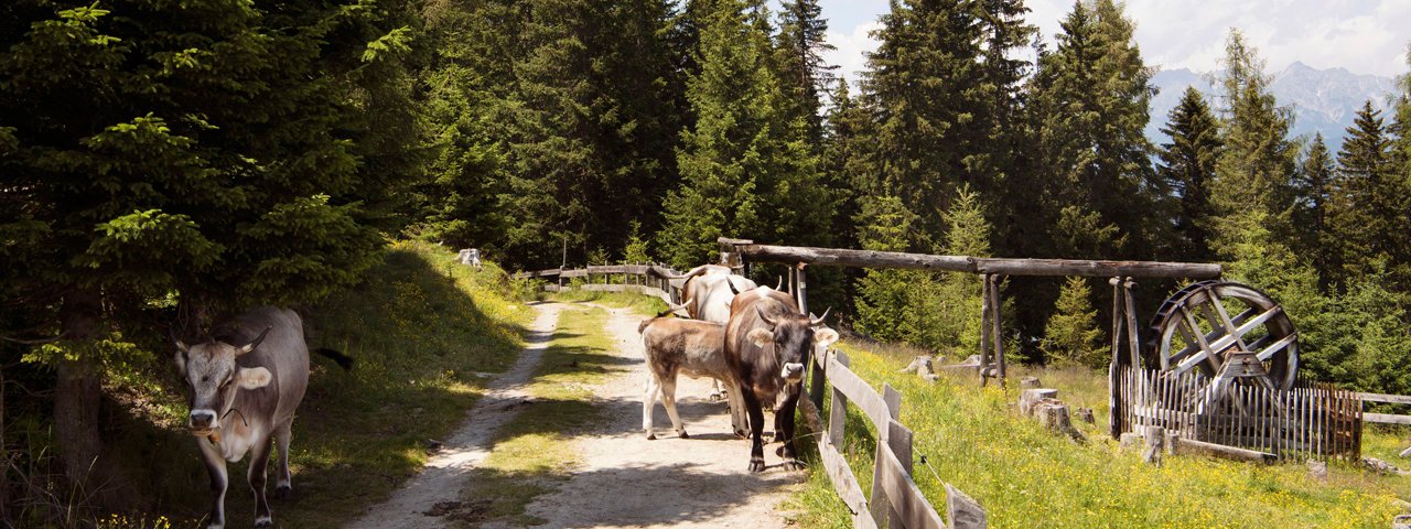 Nel parco per le famiglie, © Tirol Werbung/Frank Bauer