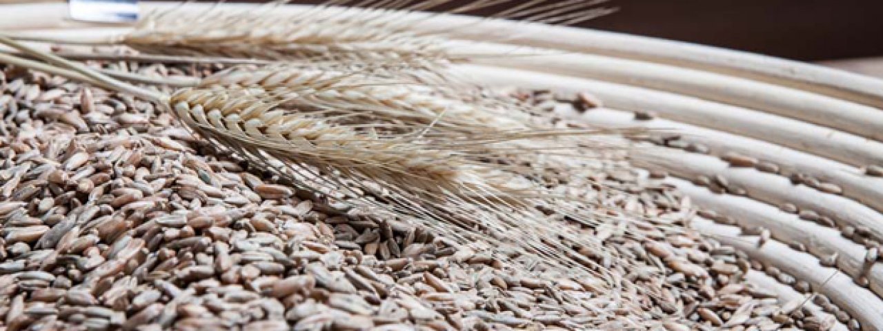 Itinerario del gusto tirolese: il pane Tiroggl, © Daniel Zangerl