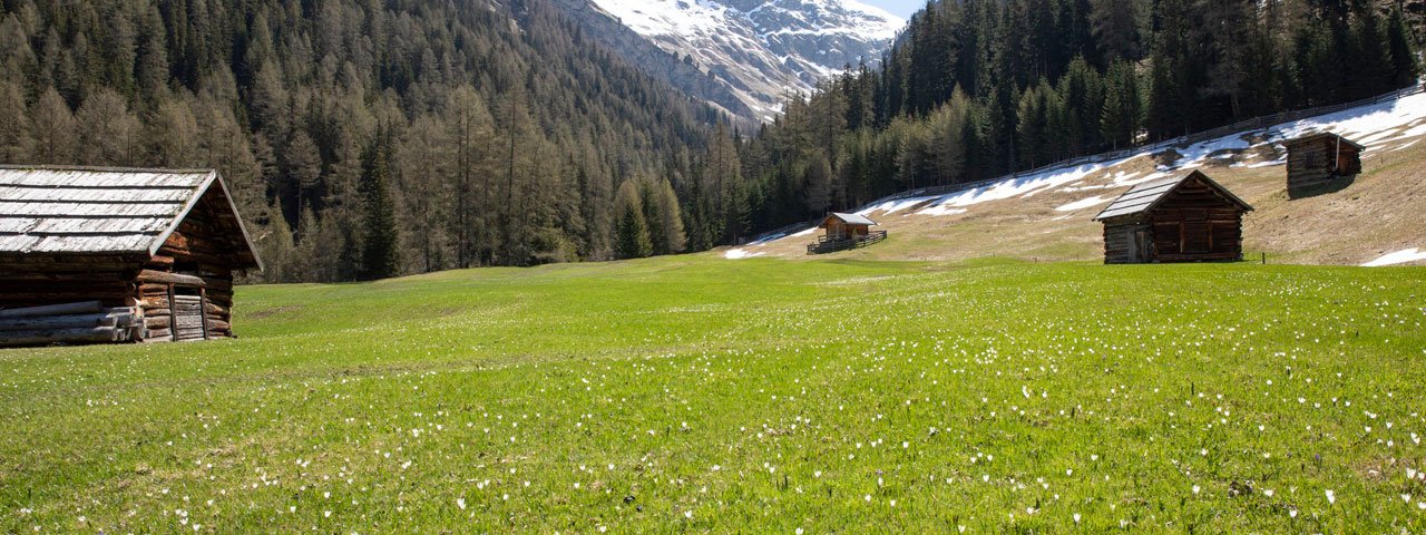 La primavera nella Pfundser Tschey, © Tirol Werbung/Marion Webhofer