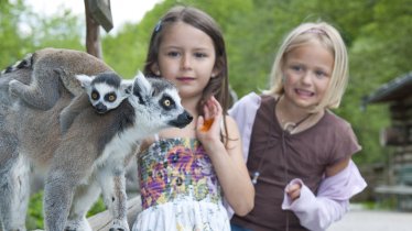 Zoo di specie rare Ebbs, © Ferienland Kufstein