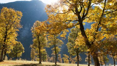 Aceraia nell'Eng, © Tirol Werbung/W9 Studios