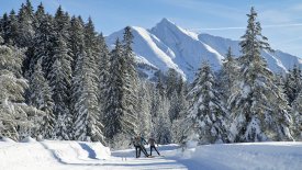 Sci di fondo a Seefeld, © Tirol Werbung / Aitzetmüller Johannes