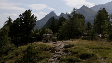 Sentiero dell’aquila, tappa 13: Innsbruck – Sentiero tra i pini cembri – Innsbruck, © Tirol Werbung/Jenewein Markus