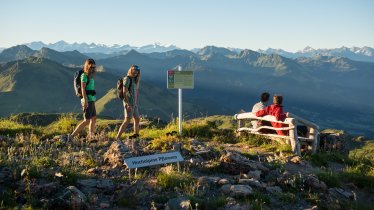 Il Giardino dei fiori alpini al Kitzbüheler Horn, © KitzSki / Werlberger