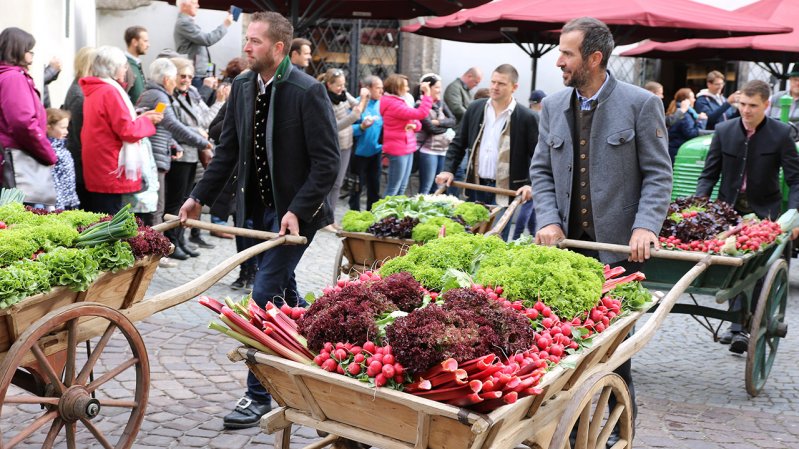 La festa dei ravanelli di Hall, © TVB Region Hall-Wattens / Gerhard Flatscher