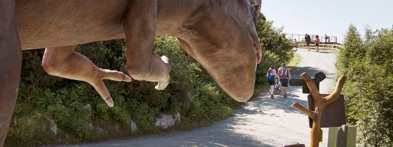 Sul sentiero Triassic-Trail, © Tirol Werbung/Frank Bauer