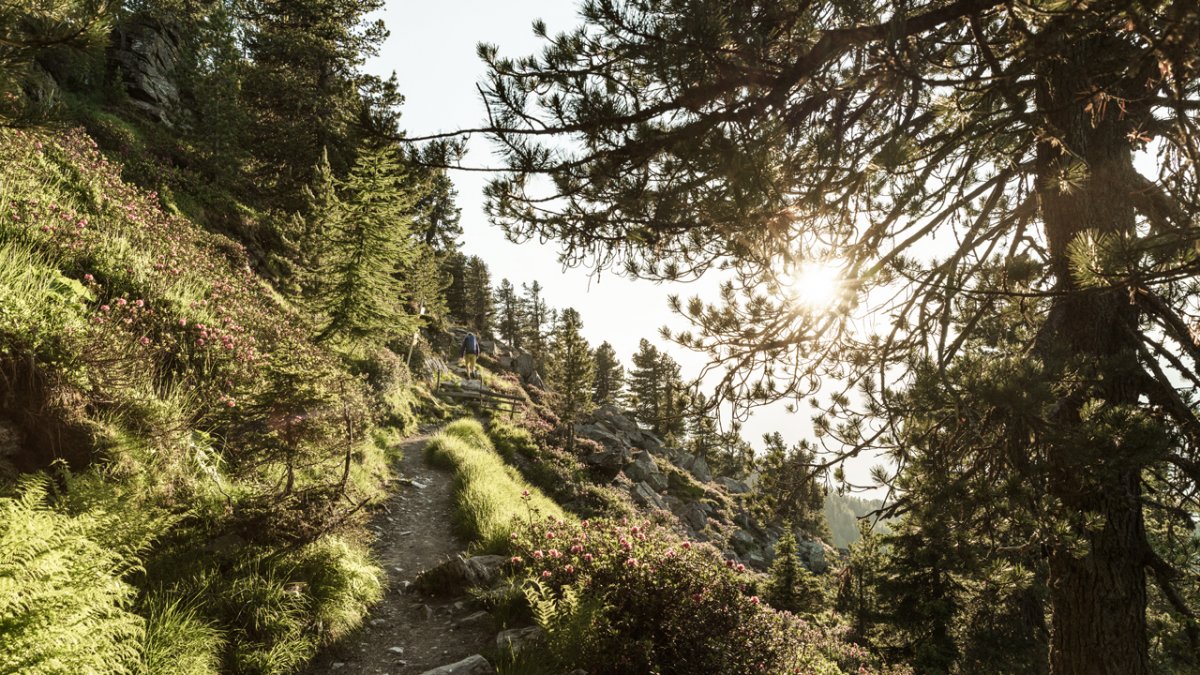 Il sentiero Zirbenweg