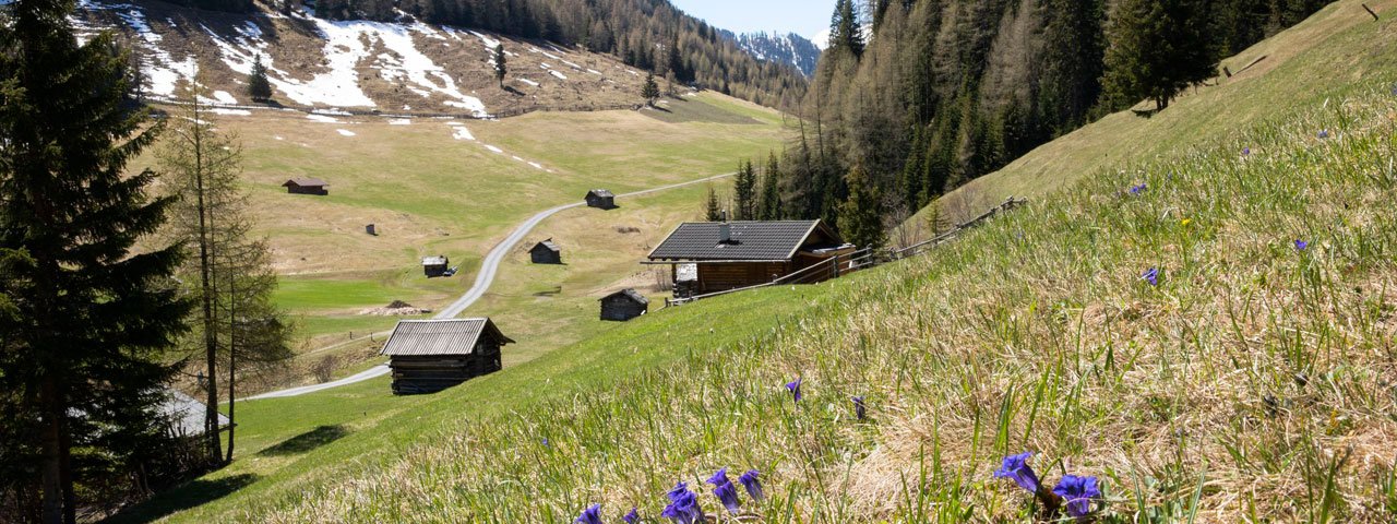 La primavera nella Pfundser Tschey, © Tirol Werbung/Marion Webhofer