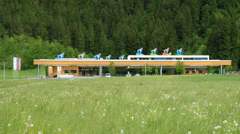 Caseificio didattico Zillertal, © ErlebnisSennerei Zillertal