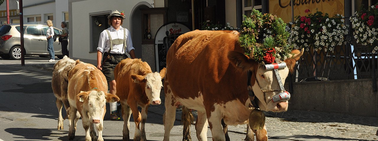 L'arrivo del bestiame a Fulpmes., © TVB Stubai Tirol