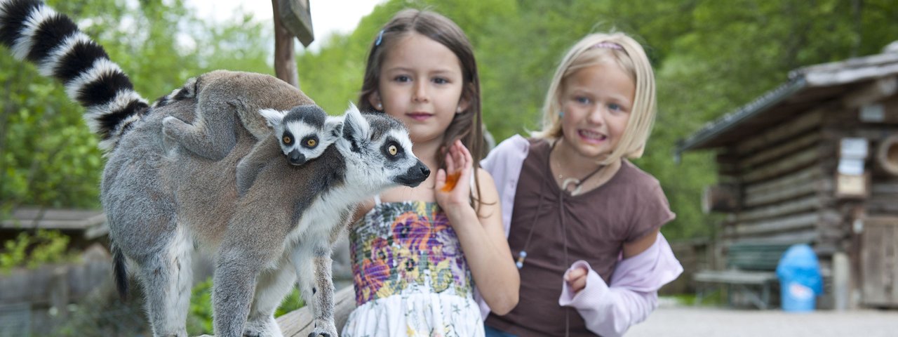 Zoo di specie rare Ebbs, © Ferienland Kufstein