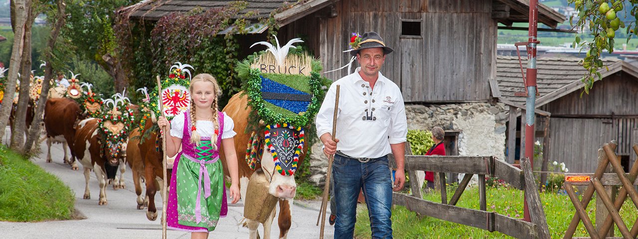 "Aufbischt": il bestiame torna a casa dagli alpeggi nell'Erste Ferienregion im Zillertal addobbato a festa, © Erste Ferienregion im Zillertal / Walter Kraiger