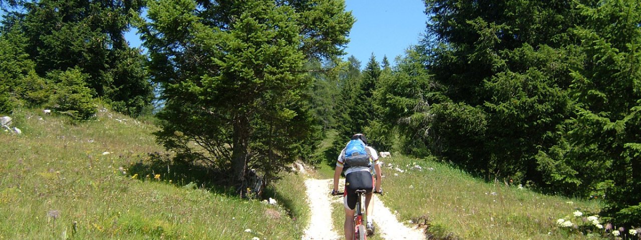 Bike Trail Tirol, © Tirol Werbung