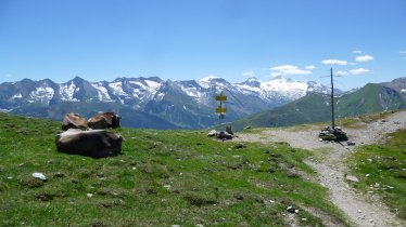 Bike Trail Tirol, © Tirol Werbung