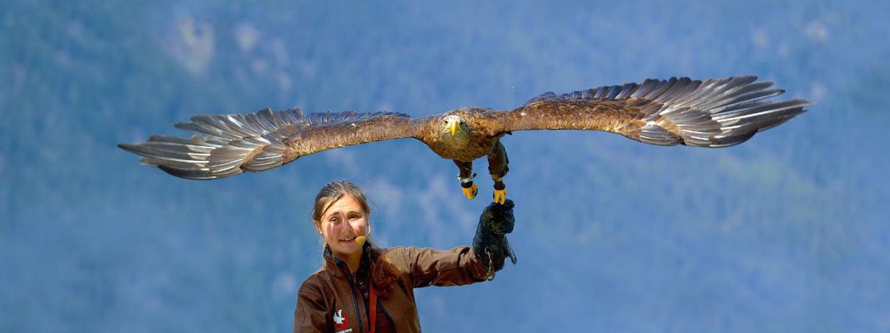 Parco degli uccelli rapaci Umhausen, © Greifvogelpark Umhausen