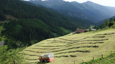 La valle Navistal, © Tirol Werbung/Nicole Pfeifer