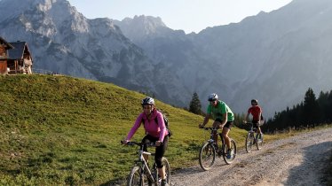 Il giro per MTB Hinterhornalm - Walder Alm - Ganalm, © Tourismusverband Hall Wattens