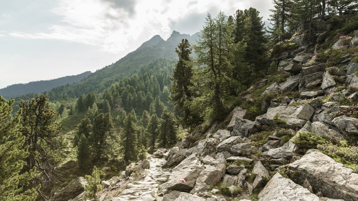 Il sentiero Zirbenweg