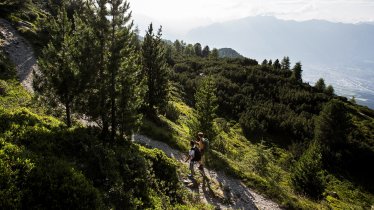 Il Sentiero dei pini cembri, © Region Hall-Wattens/Daniel Zangerl